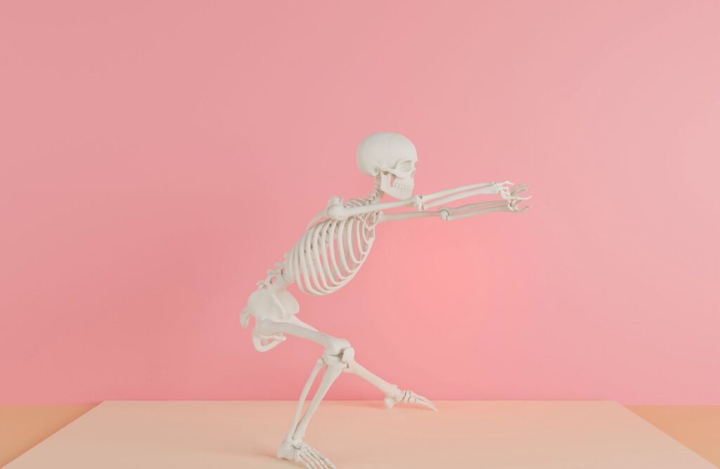 White skeleton model crouching on a pink backdrop with both arms stretched forward
