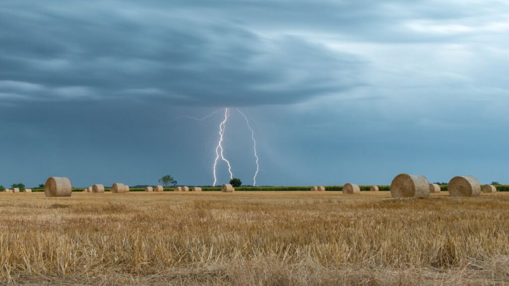 Lightning bolt striking beyond a harvested field dotted with round hay bales under gray clouds