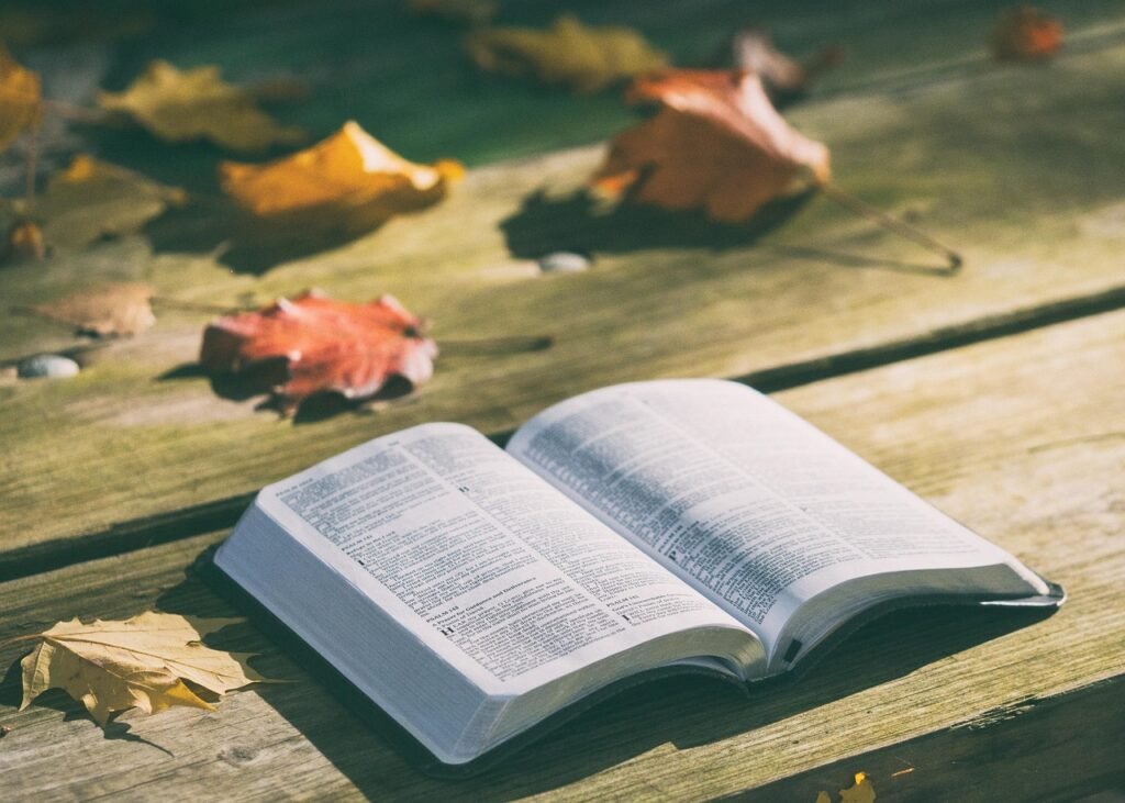 Open book lying on a weathered wooden table scattered with dry autumn leaves