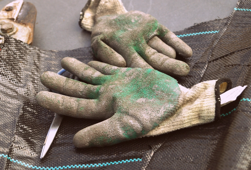 Gardening gloves and trowel on soil