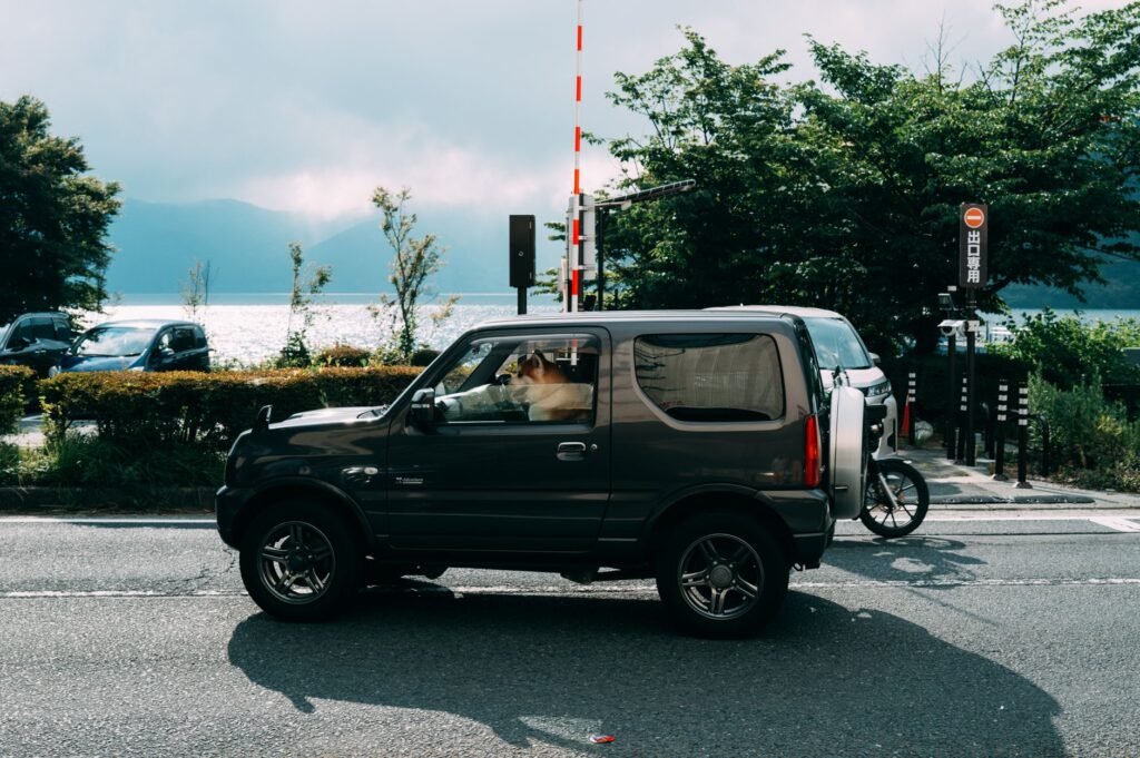 A dog sits in a car by a scenic roadside with a serene lake in the background, near lush greenery