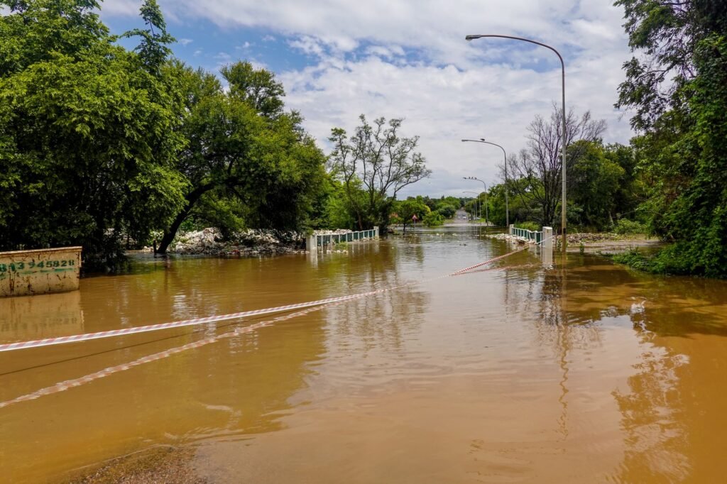 Muddy brown floodwater covering a road and park, with trees and streetlights rising from the water