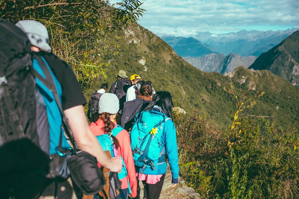 Group hikers wearing backpacks hiking