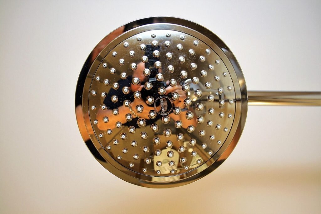 Round chrome rain shower head seen face on, showing rows of small spray nozzles