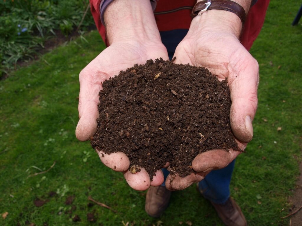 Cupped hands holding a pile of dark crumbly finished compost over grass