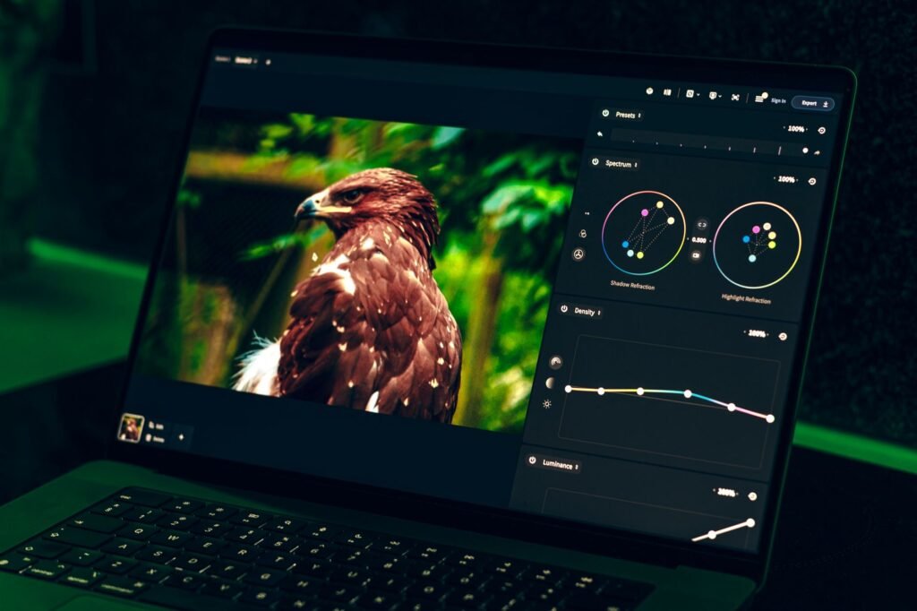 Laptop screen showing a bird photo beside color wheels and curve adjustment controls