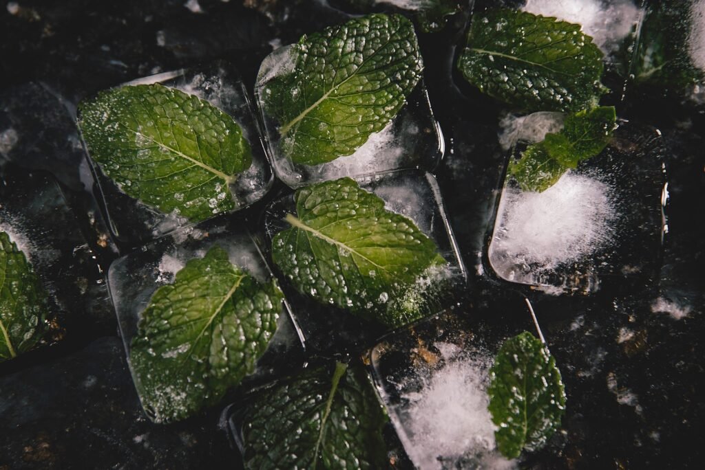 Fresh mint leaves frozen inside ice cubes