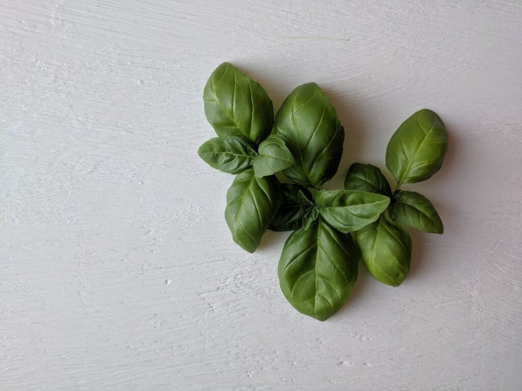 Top view of fresh basil leaves on a light textured background, ideal for culinary themes
