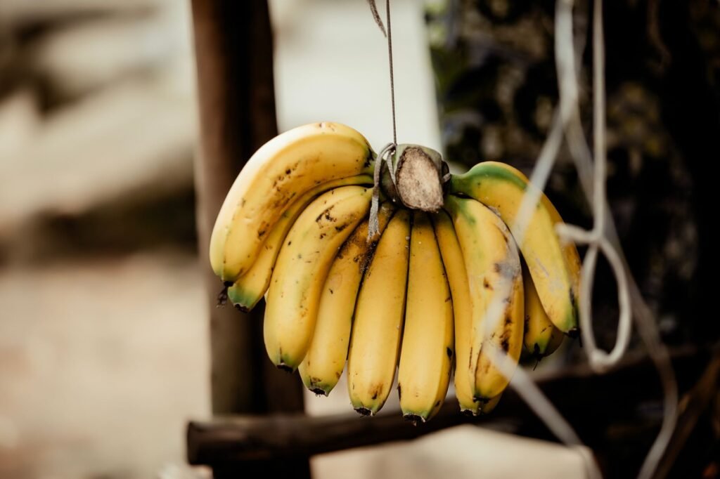 Bunch of ripe yellow bananas hanging from a string beside a wooden post