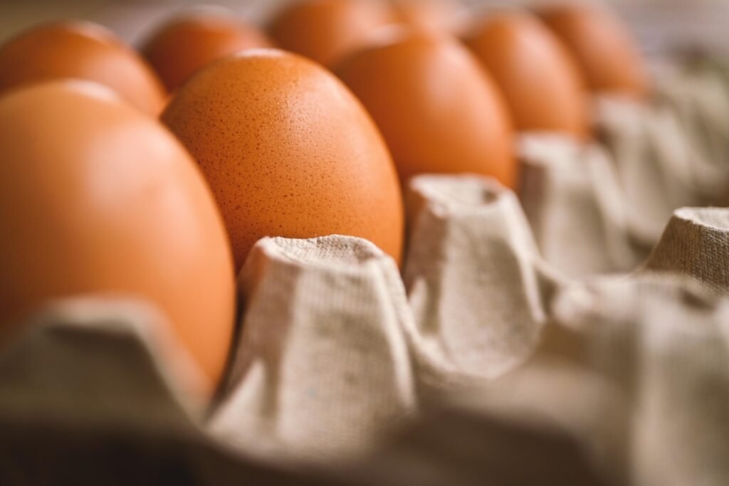 Brown eggs sitting in a cardboard egg carton
