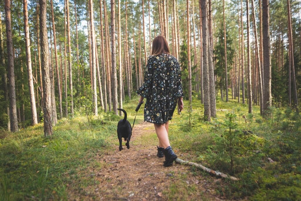Woman walking a black dog along a dirt path through a tall pine forest