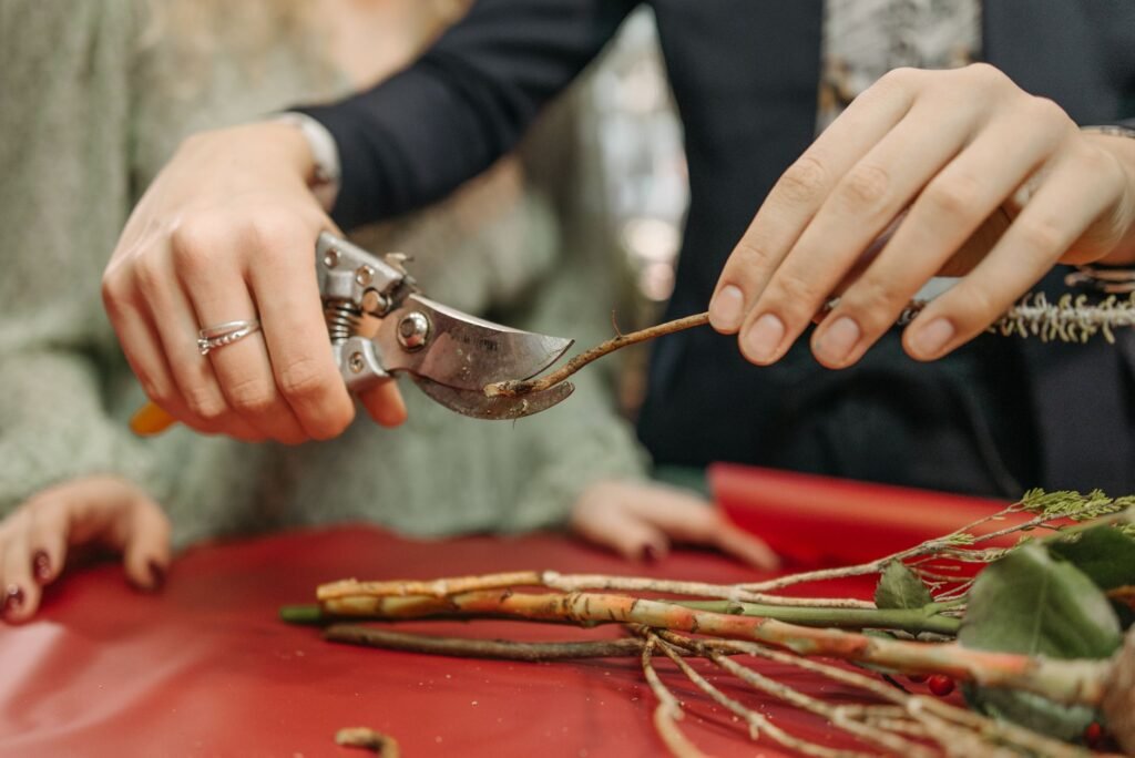 A close-up of hands using pruning shears to trim flower stems. Perfect for floral and gardening themes