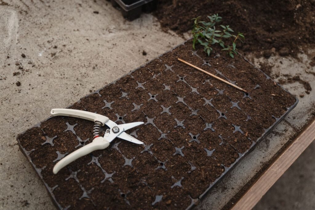 Pruning shears resting on a seed tray filled with moist dark potting soil