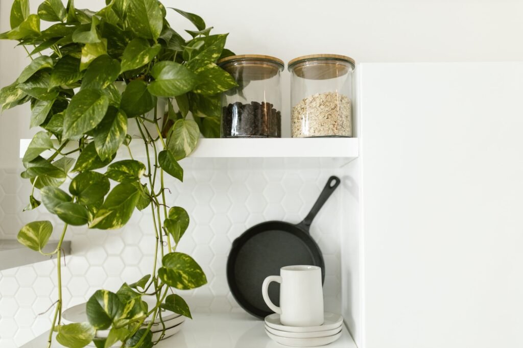 A stylish kitchen shelf with a pothos plant, ceramic cup, and glass jars for minimalist decor