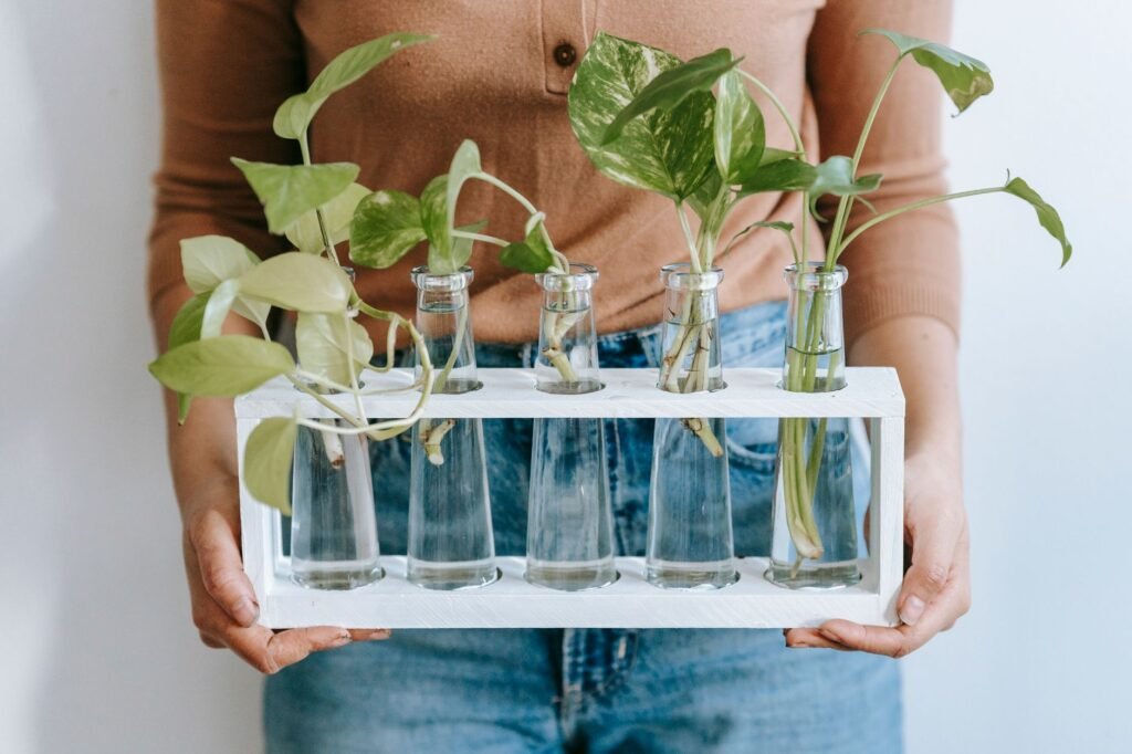 Crop unrecognizable female horticulturist with tropical plant sprigs in vases with water on white background