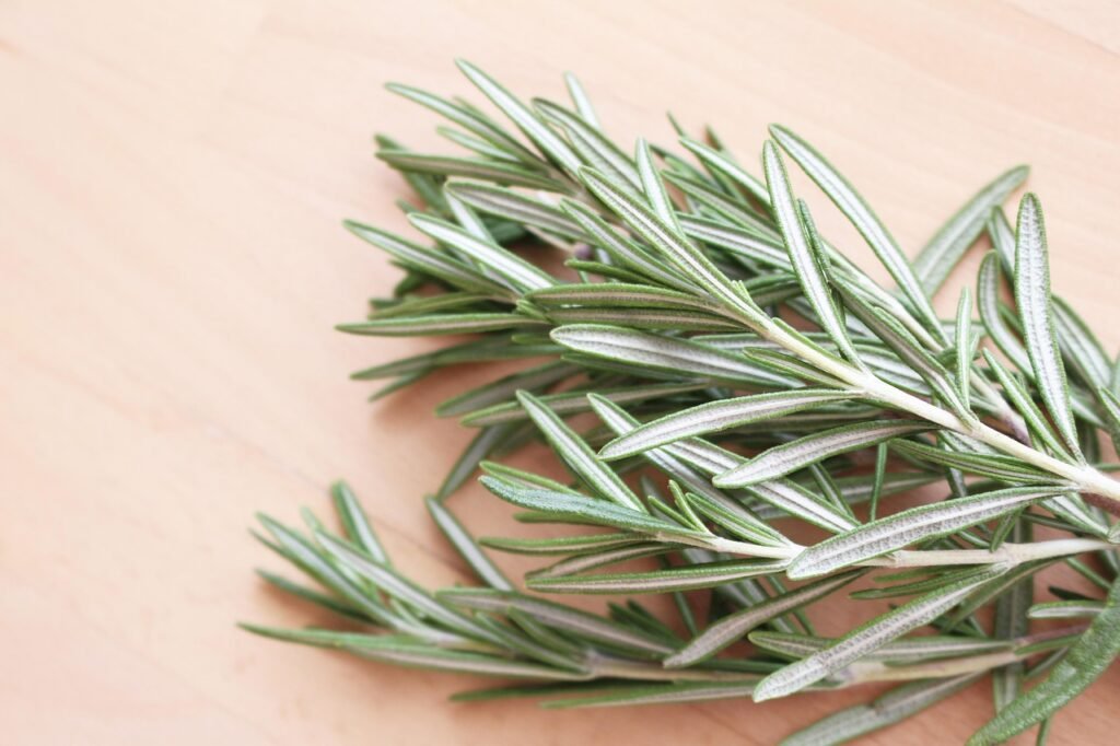Several fresh rosemary sprigs with narrow needle like leaves lying on a light wooden surface