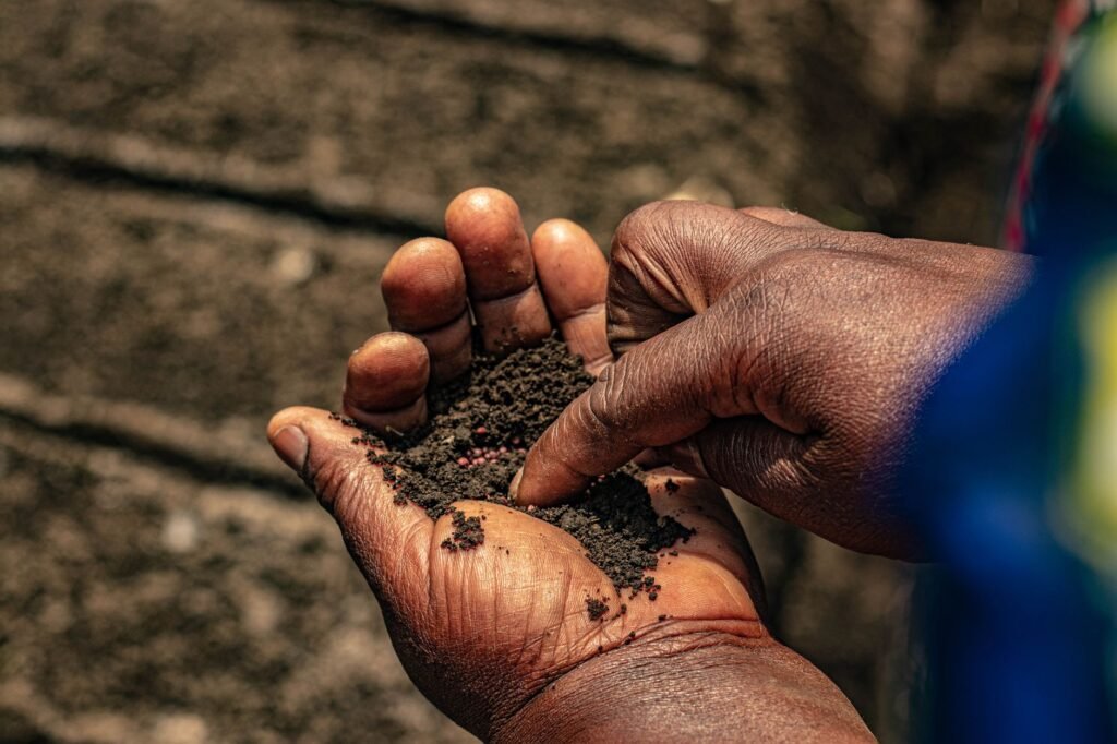 Elderly hands holding soil with seeds under sunlight, symbolizing growth and agriculture