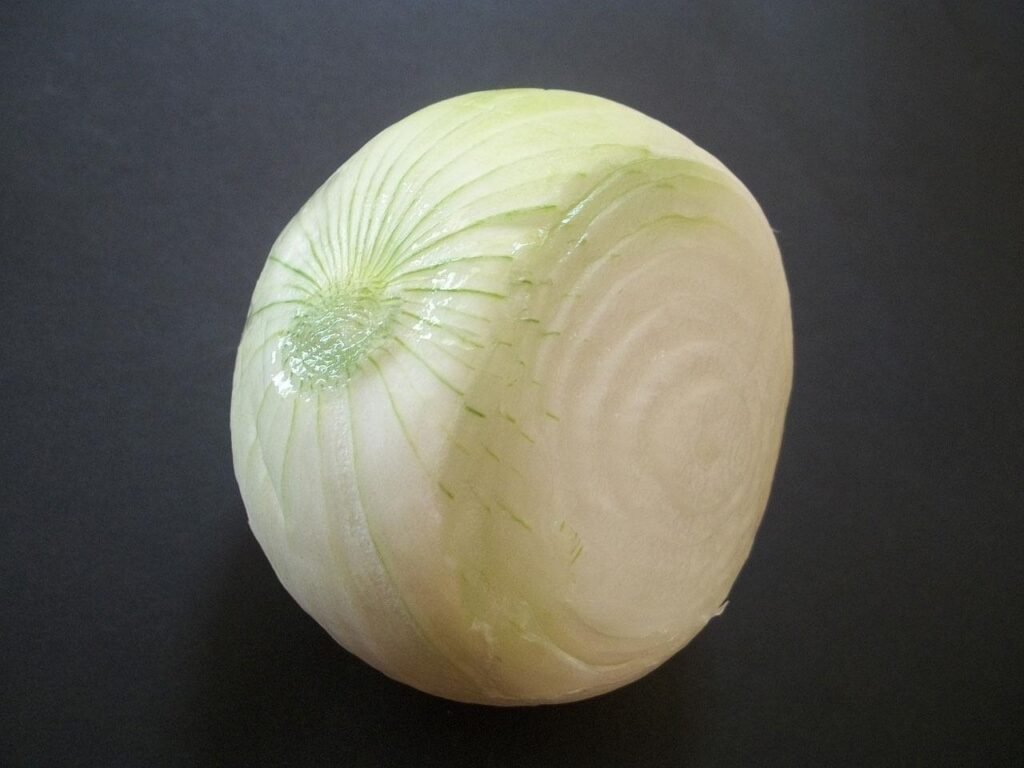 Glass container with sliced onion