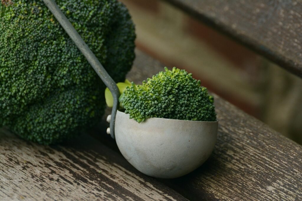 Broccoli, vegetables, healthy, cook, nourishment, fresh, vegan, green, green vegetables, vegetarian, meal, ...