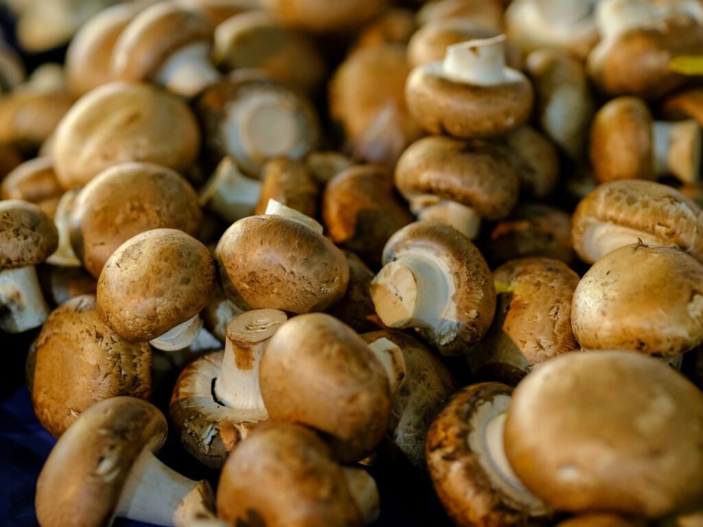 Close-up of fresh brown mushrooms with earthy tones and textures, ideal for food photography