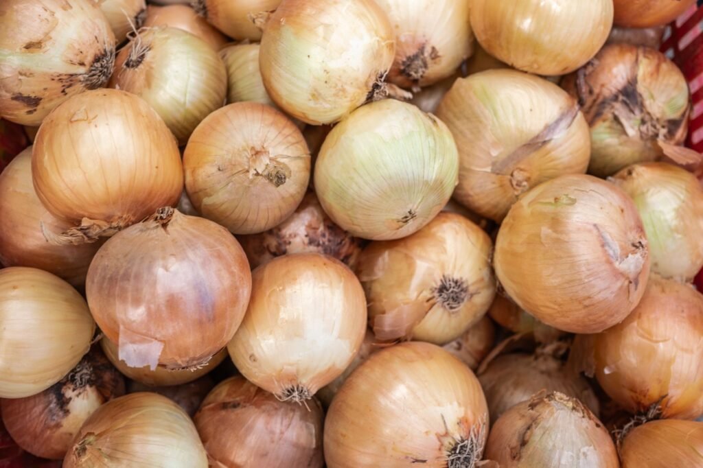 A close-up of fresh organic onions displayed at a market in Bornova, İzmir, Türkiye.