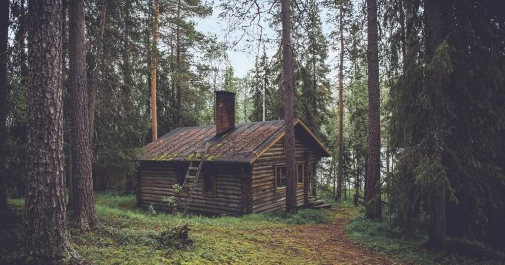 Wood Logs