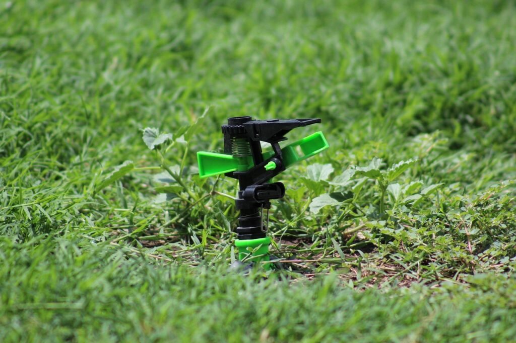 Small plastic impact sprinkler head standing idle in a green lawn