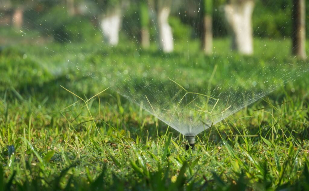 Pop up lawn sprinkler head spraying a fan of water across green grass