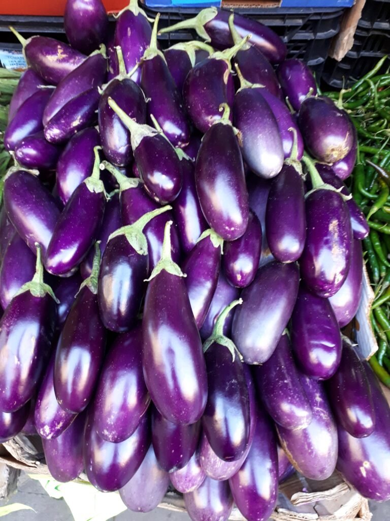 Purple eggplants 2017 A