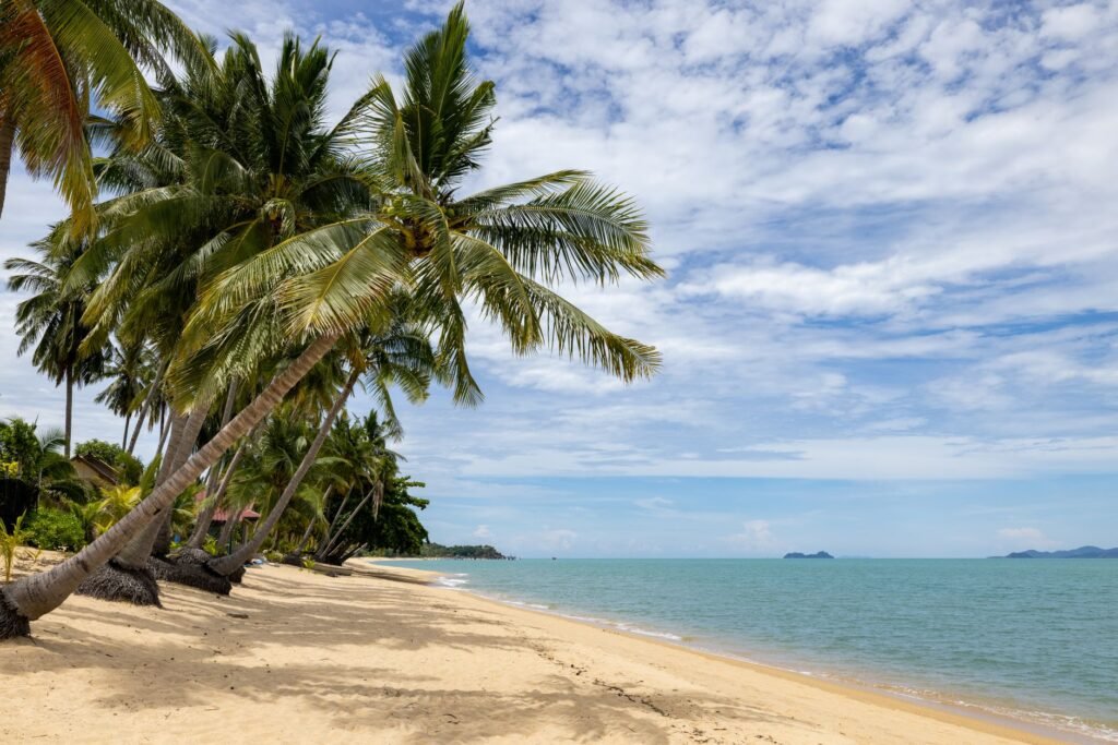 Serene tropical beach scene with coconut palm trees under a bright blue sky