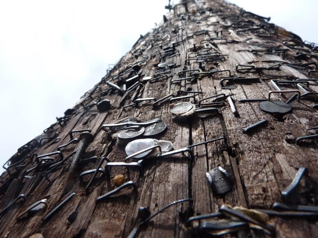 A weathered utility pole studded with staples left by long gone flyers