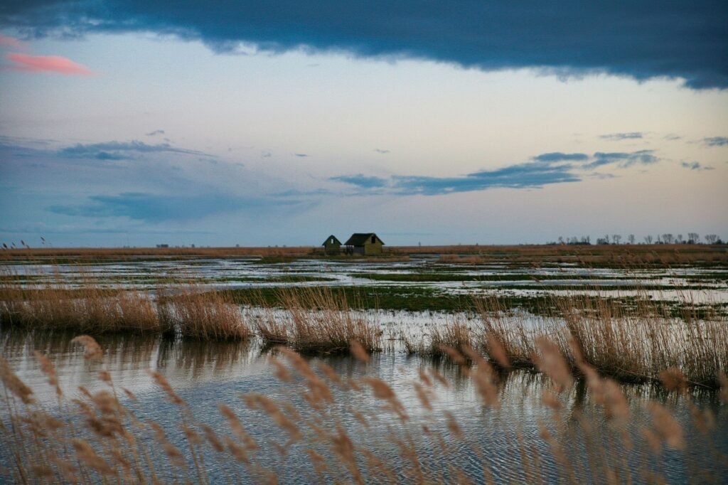 Tranquil image of a salt marsh landscape with two huts under a colorful dusky sky