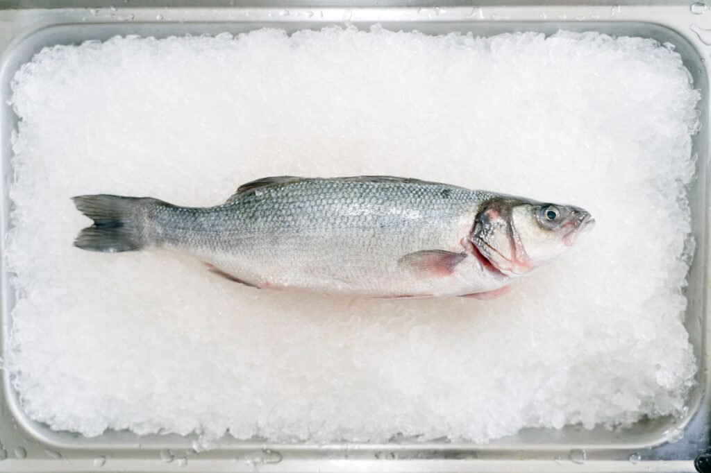 A single silver fish laid on a tray of crushed ice