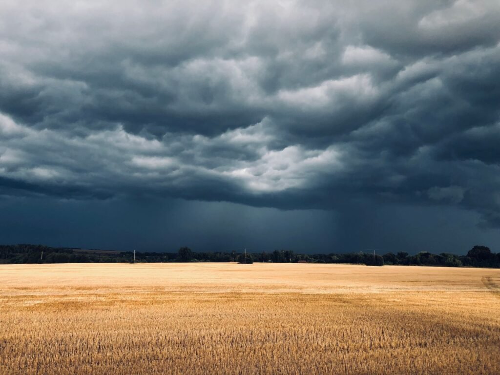 Dark heavy storm clouds hanging low over a wide golden grain field
