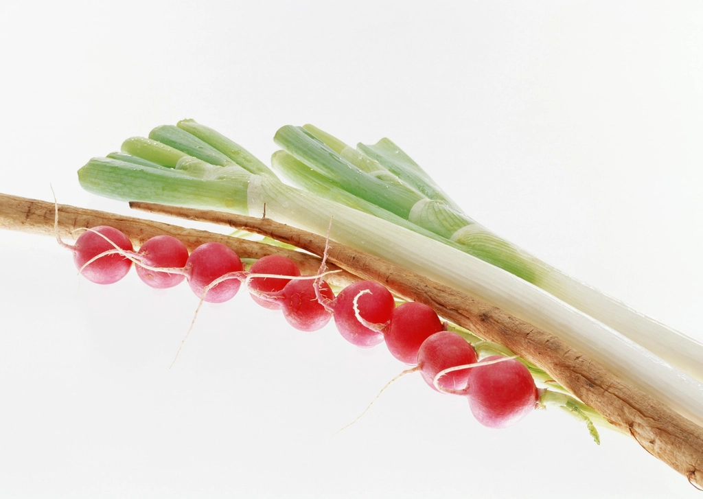Bunch Fresh Green Onion And