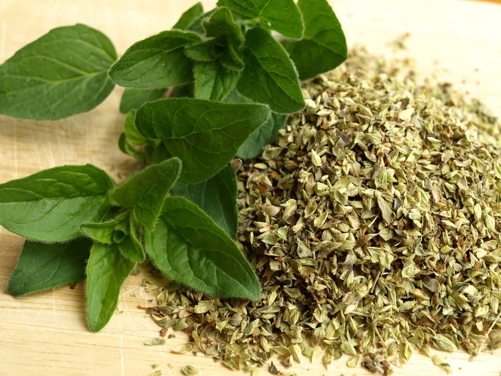 Dried oregano herb jar