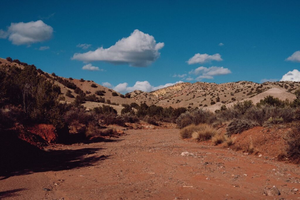 Dry sandy wash of reddish soil winding between desert shrubs under a blue sky