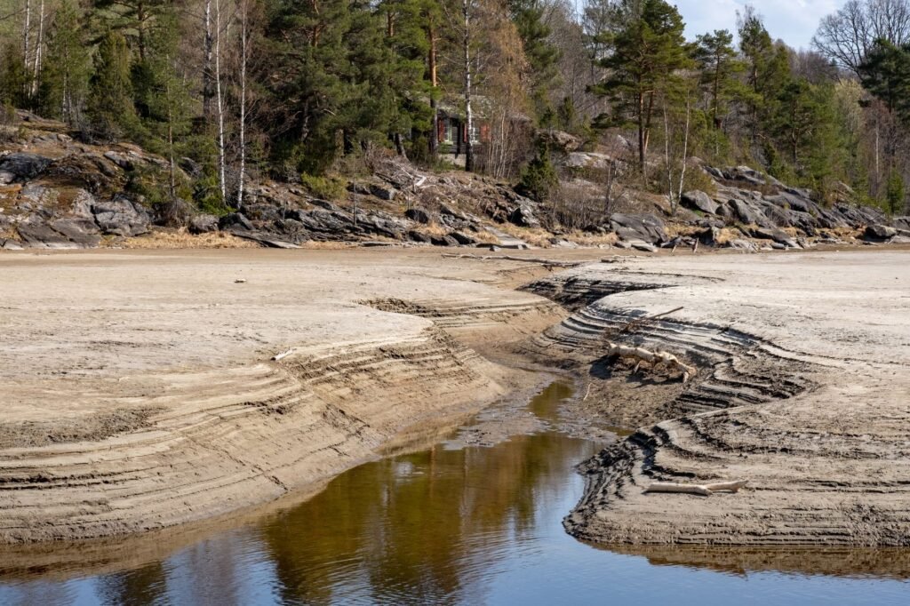 A tranquil dried stream bed with surrounding rocks and trees in a peaceful woodland setting