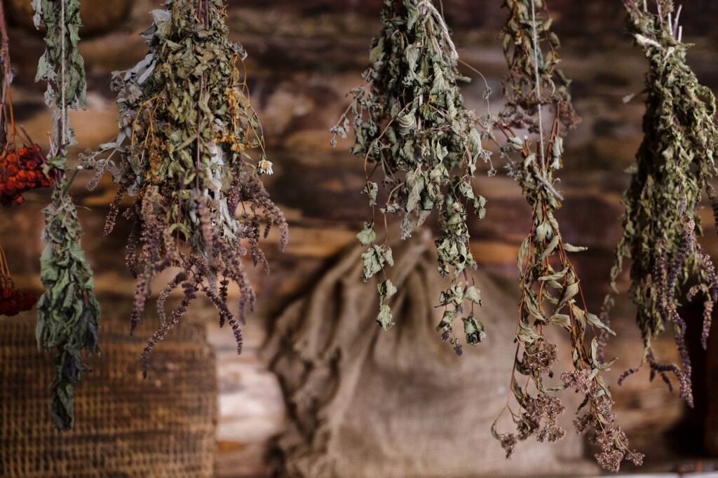 A rustic scene featuring a variety of dried herbs hanging indoors, showcasing natural textures