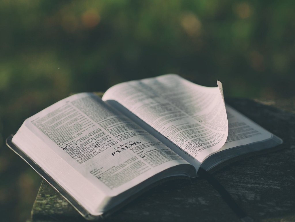 Bible Open to Psalms