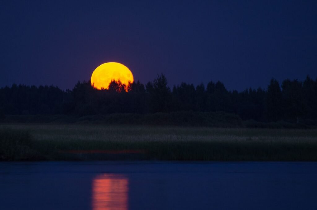 Large orange full moon rising above a dark treeline and reflecting in still water