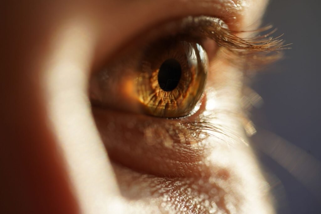 Detailed macro photography focusing on the brown human eye and lashes, showcasing intricate details.