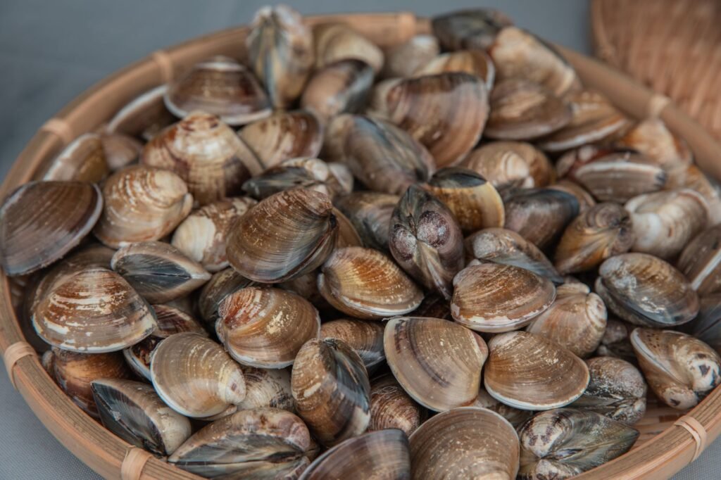 A close-up of fresh clams in a bamboo basket, ready for cooking or sale.